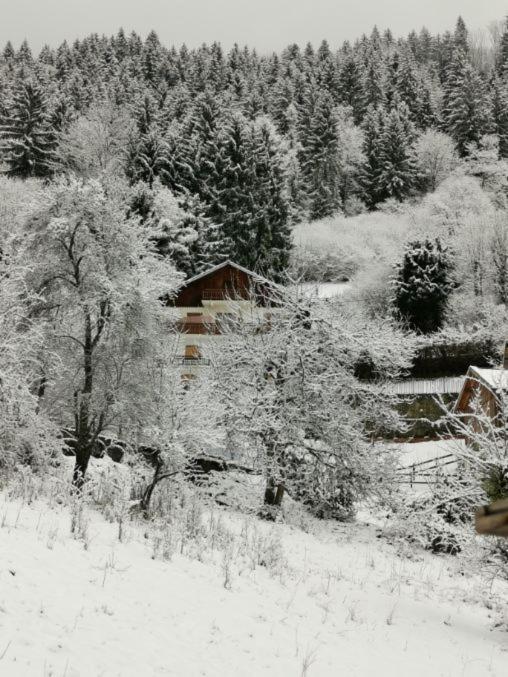 Kaban' Des Neiges Apartment Saint-Gervais-les-Bains Bagian luar foto