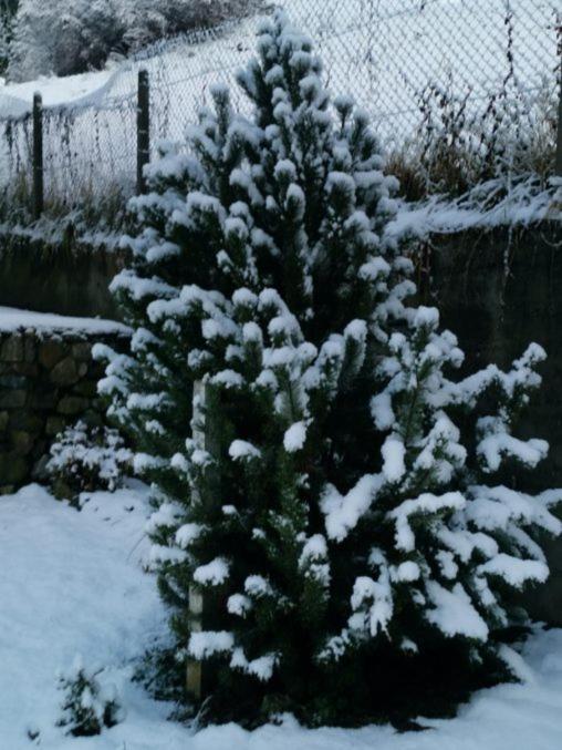 Kaban' Des Neiges Apartment Saint-Gervais-les-Bains Bagian luar foto